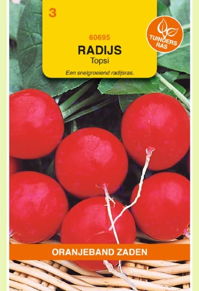 Radish Topsi (Raphanus sativus) 1000 seeds OBZ